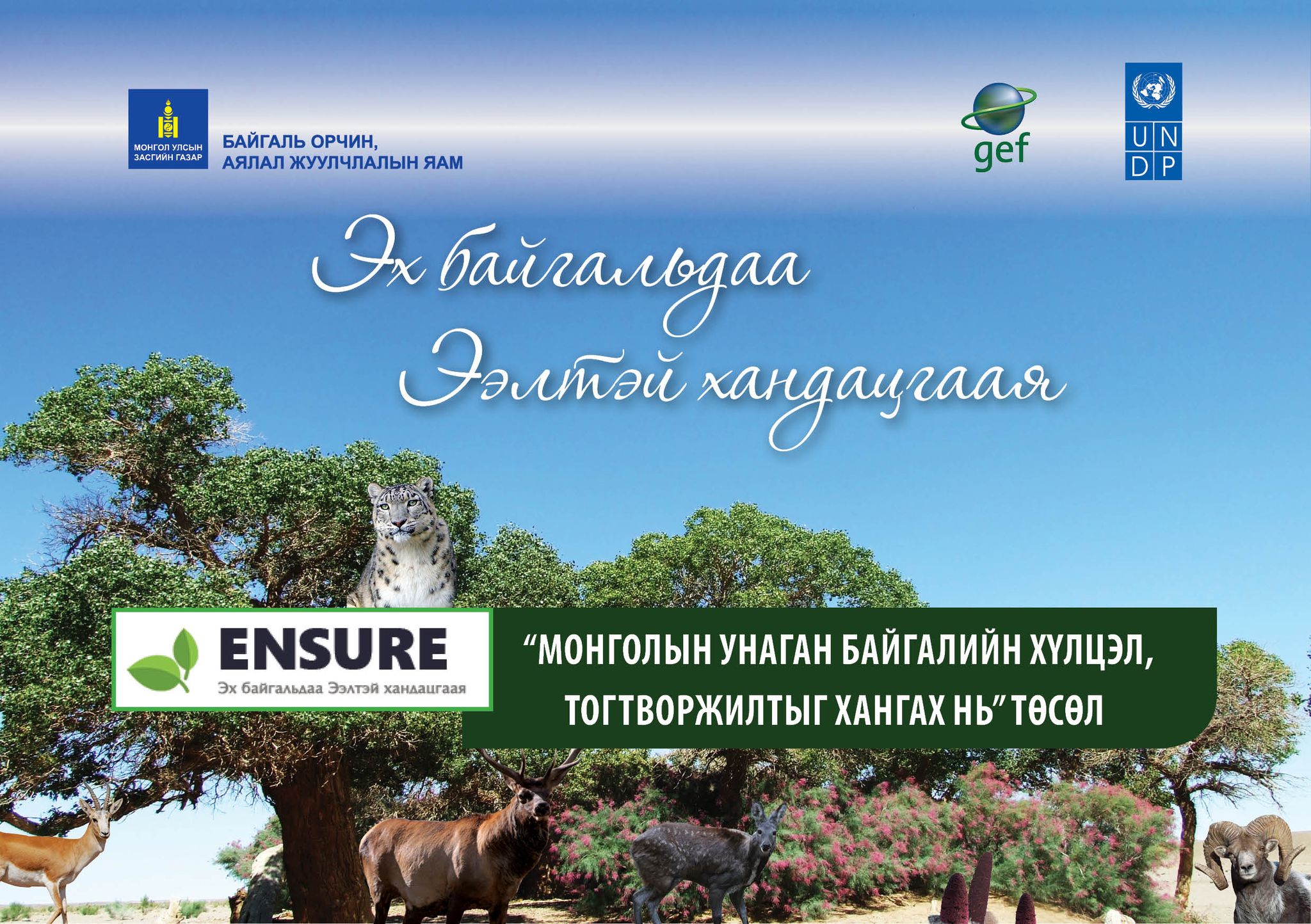 Худалдан авалтын зар