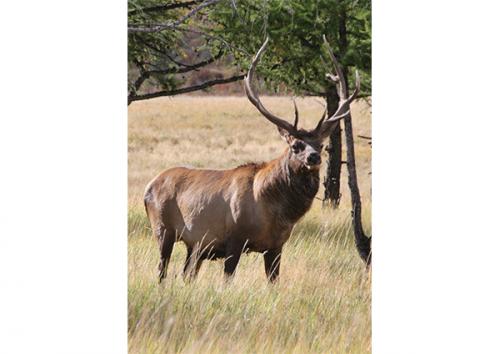 МОНГОЛ ОРНЫ ХӨХТӨН СУДЛАЛЫН НИЙГЭМЛЭГ